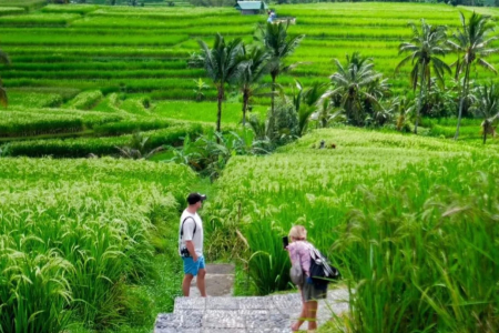 Pariwisata Budaya