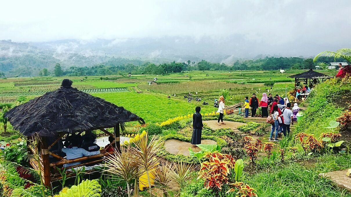traveling Indonesia